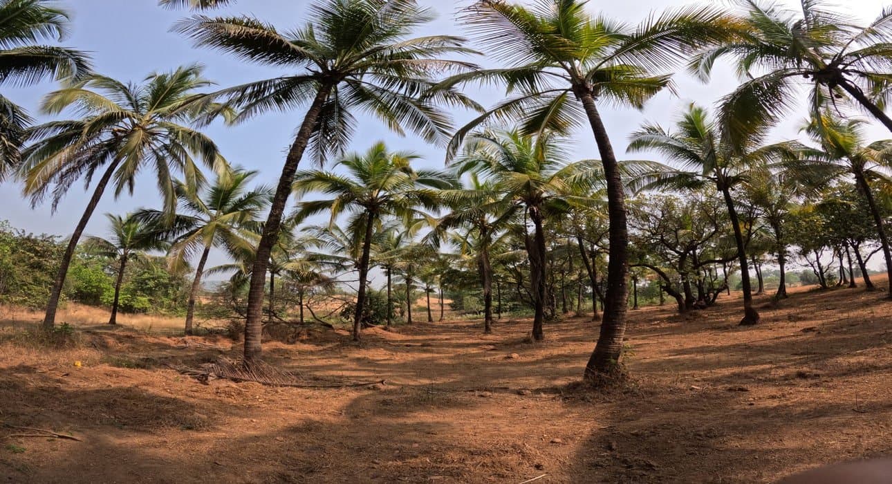 Agricultural Land Conversion in Goa: Everything Buyers Need to Know