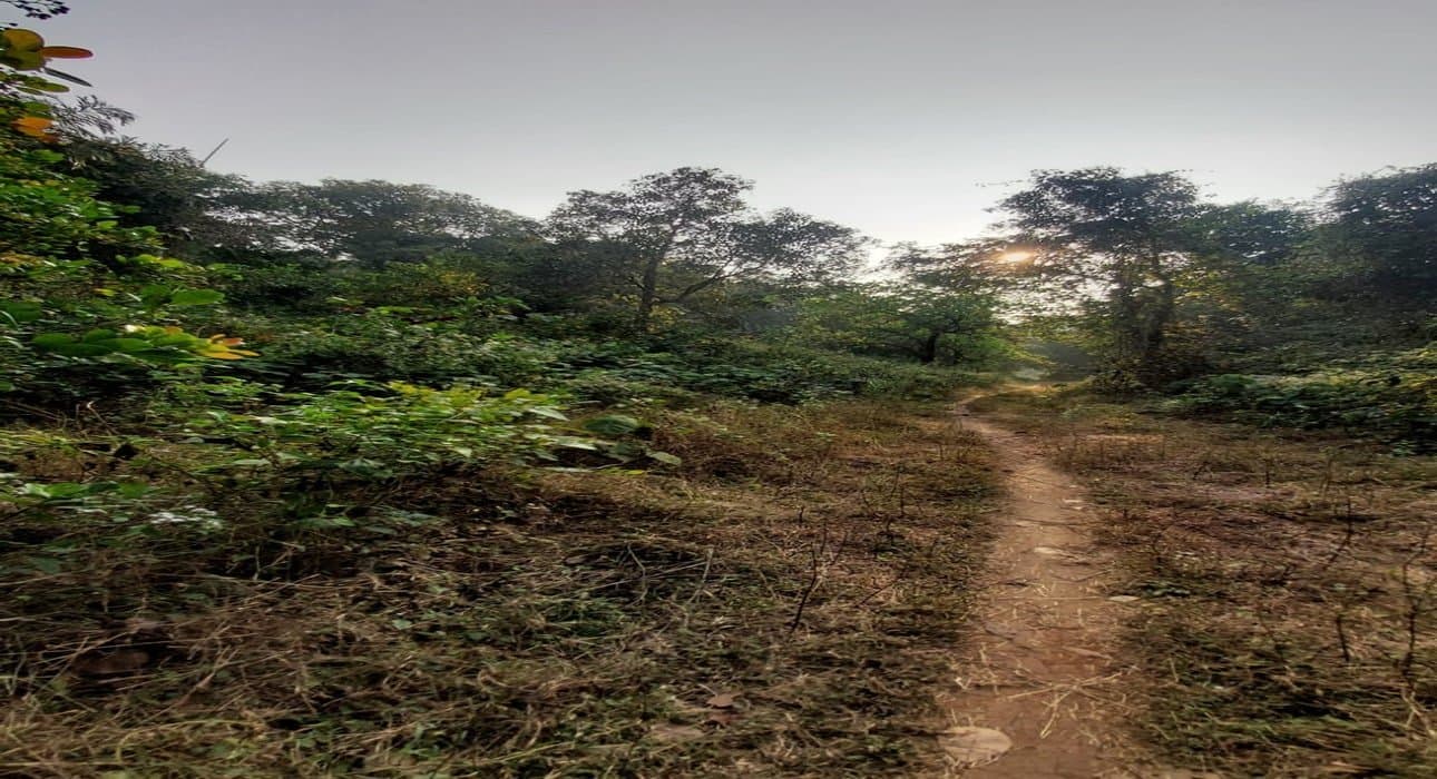 Commercial Real Estate Near Mopa Airport: The North Goa Investment Case