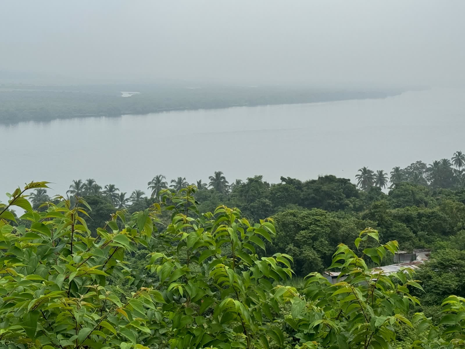 Kadamba Plateau Commercial Plot