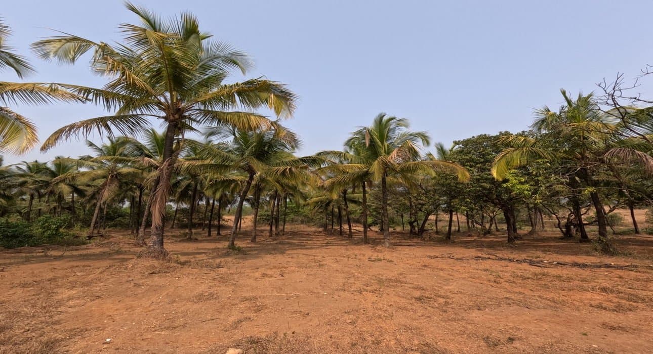 Best Areas to Buy Property in Goa in 2025
